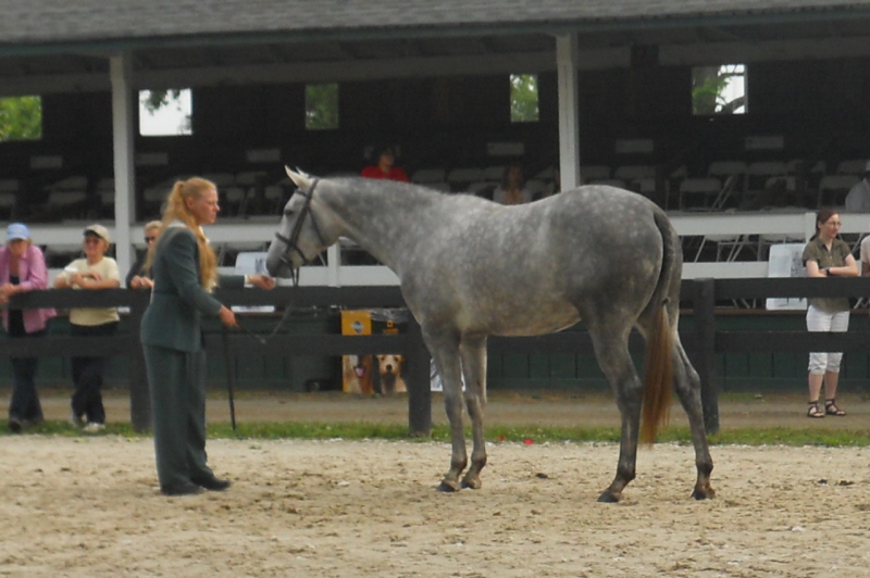 Clue_at_Upperville